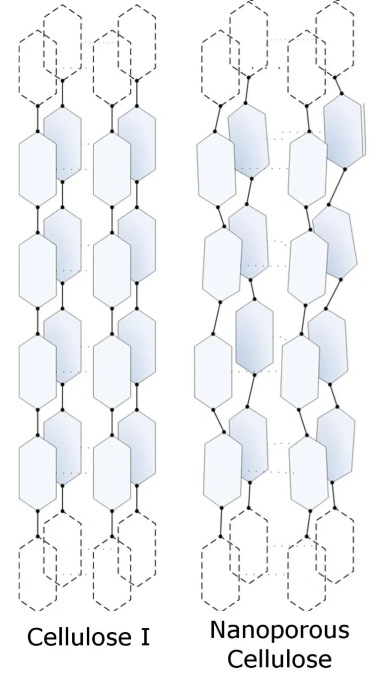Simplified diagram of the Cellulose Sciences process as applied to biomass
